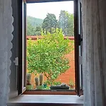 O Cantinho De