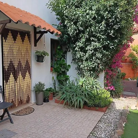 O Cantinho De Tatil Evi Góis