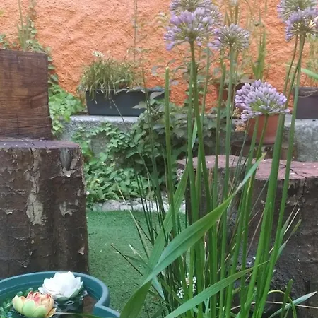 O Cantinho De Tatil Evi