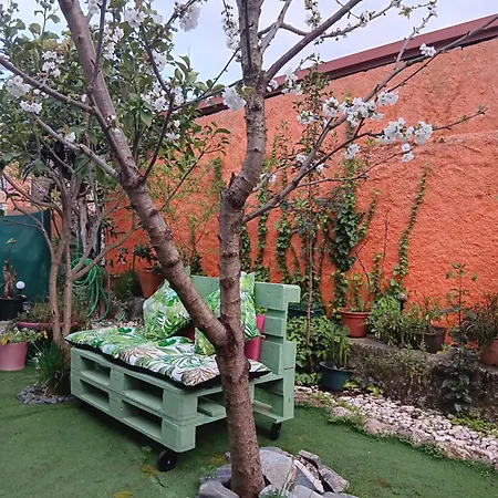 Ferienhaus O Cantinho De