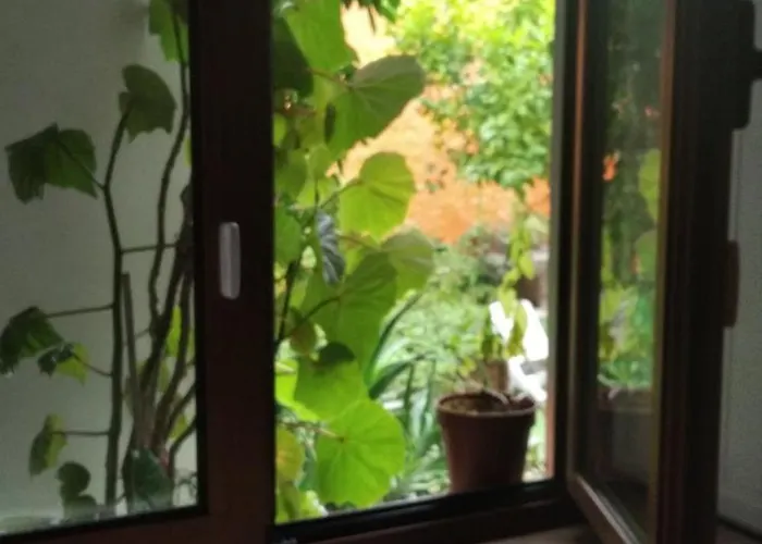 O Cantinho De * Гойш