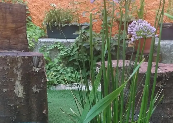 O Cantinho De Nyaraló