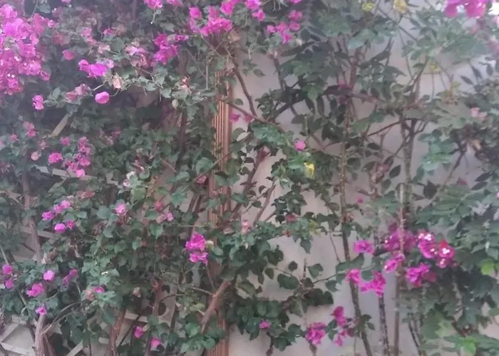 O Cantinho De Дом отдыха